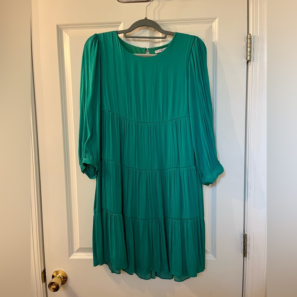 Naked Zebra green long sleeve mini dress